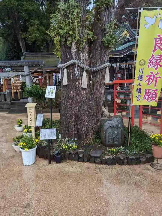 川越八幡宮(埼玉県)