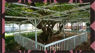 菖蒲神社(埼玉県)