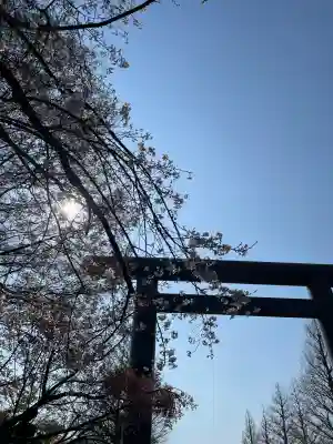 靖國神社(東京都)