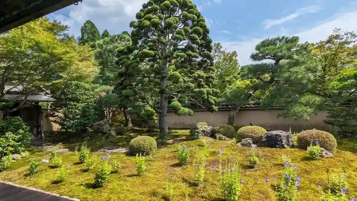 天得院(京都府)