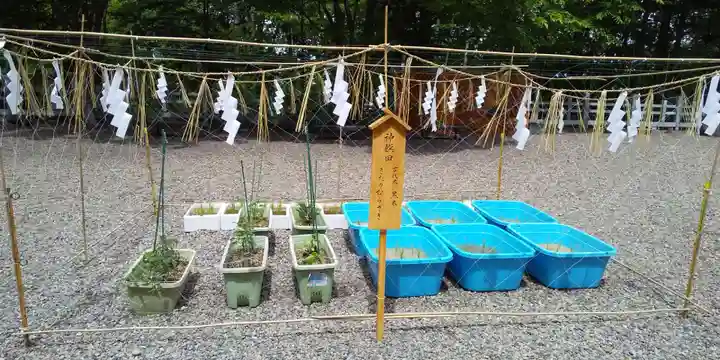 上川神社のその他建物