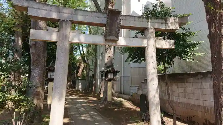 荻窪白山神社の鳥居