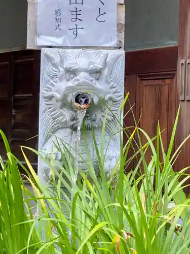 高知大神宮の手水舎