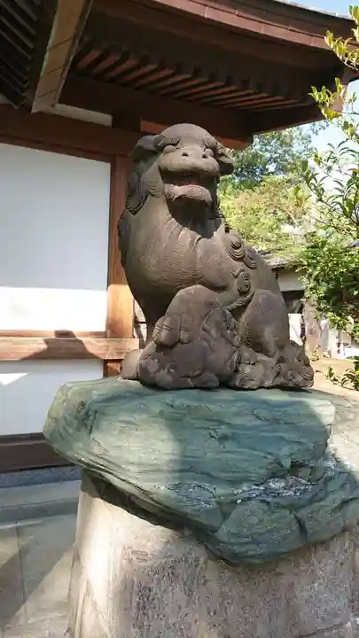 代田八幡神社の狛犬