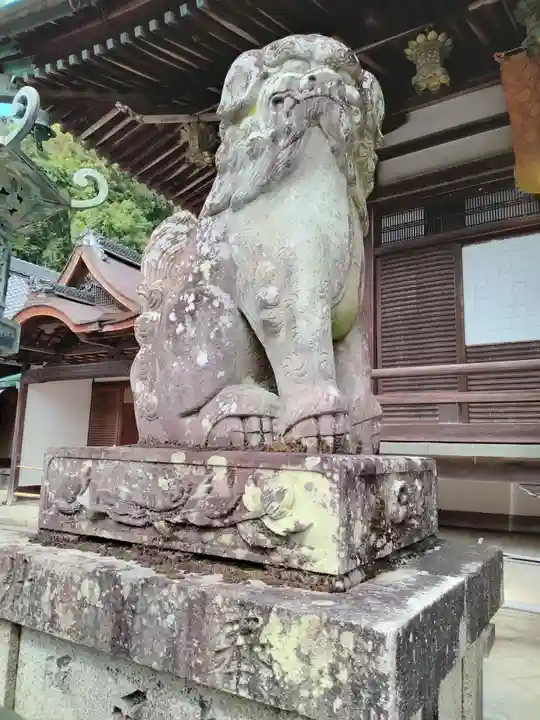 柳谷観音 楊谷寺(京都府)
