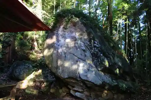 鹿島神社の自然