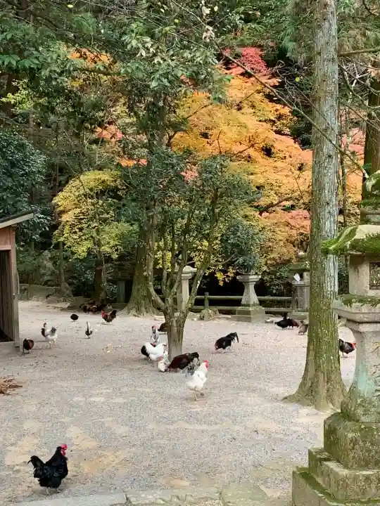 石上神宮(奈良県)
