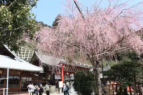 太平山神社(栃木県)