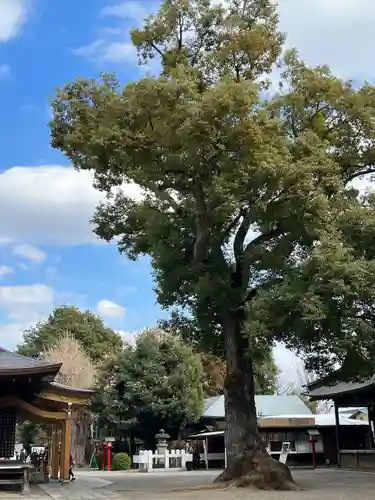 鷲宮神社のその他建物