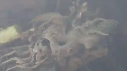 荏原神社のその他建物