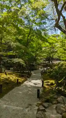 圓光寺(京都府)