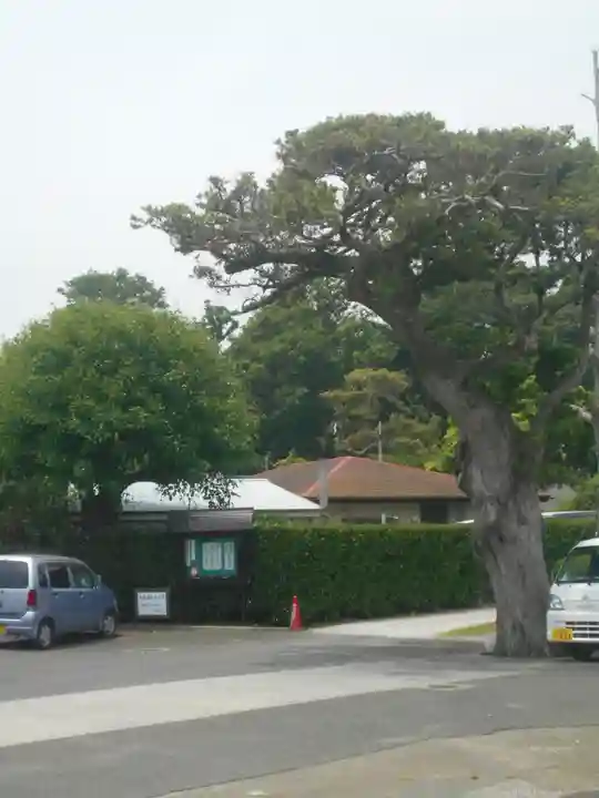 圓福寺(円福寺)の周辺