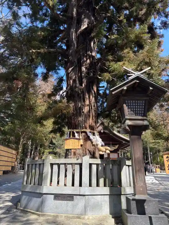 諏訪大社下社秋宮(長野県)