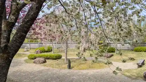 圓光寺(京都府)