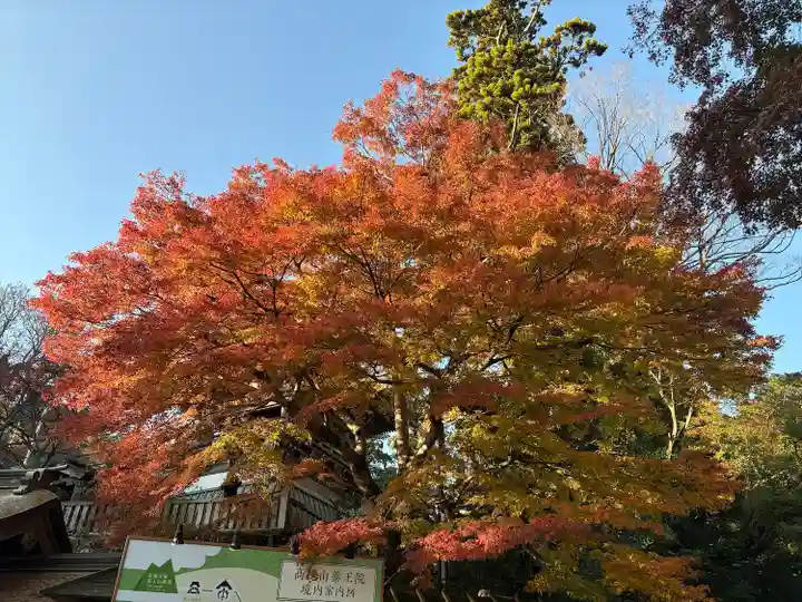 高尾山薬王院(東京都)