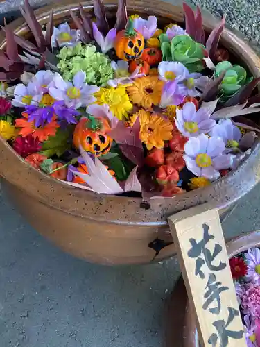 多賀神社の手水