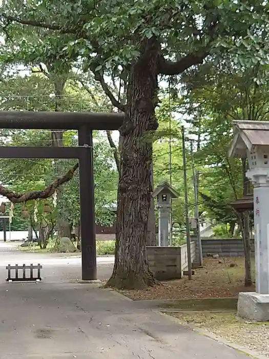 芽室神社の鳥居