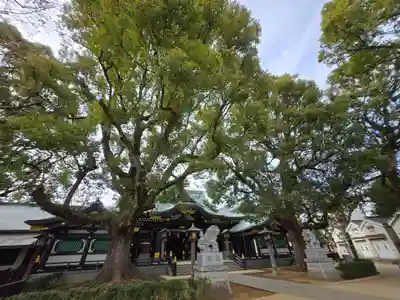 穴八幡宮(東京都)