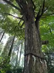 國吉神社(千葉県)