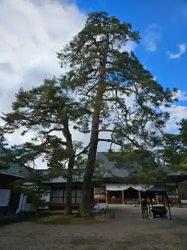毛越寺(岩手県)