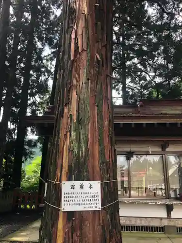 志和古稲荷神社(岩手県)