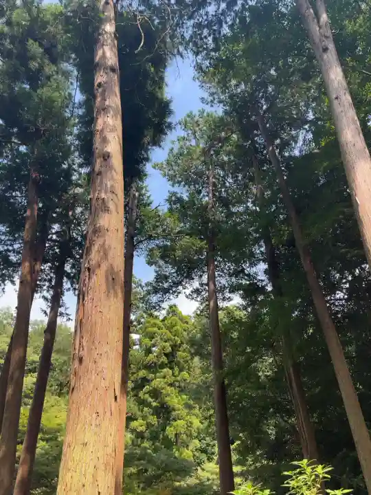 明月院の{uncategorized: "未分類", other: "その他", undefined: "問題あり", building: "その他建物", grave: "お墓", sacred_gate: "鳥居", guardian: "狛犬", statue: "像", buddha: "仏像", history: "歴史", nature: "自然", garden: "庭園", animal: "動物", pagoda: "塔", temizu: "手水舎", mountain_gate: "山門・神門", sanctuary: "本殿・本堂", subordinate: "末社・摂社", art: "芸術", scenery: "景色", jizo: "地蔵", ema: "絵馬", goshuin: "御朱印", omikuji: "おみくじ", items: "授与品その他", amulet: "お守り", goshuincho: "御朱印帳", eats: "食事", festival: "お祭り", votive_dance: "神楽", shichigosan: "七五三参", wedding: "結婚式", experience: "体験その他", initially: "初詣", around: "周辺", anti_infection: "感染症対策"}