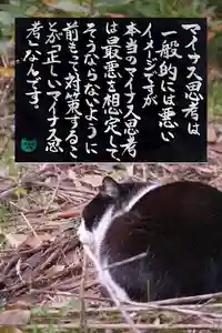 専念寺の動物(2023年03月15日(水) 18時45分19秒投稿)