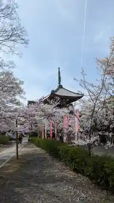 本法寺(京都府)