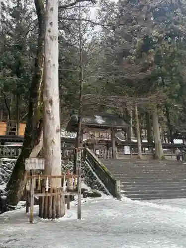 諏訪大社の{uncategorized: "未分類", other: "その他", undefined: "問題あり", building: "その他建物", grave: "お墓", sacred_gate: "鳥居", guardian: "狛犬", statue: "像", buddha: "仏像", history: "歴史", nature: "自然", garden: "庭園", animal: "動物", pagoda: "塔", temizu: "手水舎", mountain_gate: "山門・神門", sanctuary: "本殿・本堂", subordinate: "末社・摂社", art: "芸術", scenery: "景色", jizo: "地蔵", ema: "絵馬", goshuin: "御朱印", omikuji: "おみくじ", items: "授与品その他", amulet: "お守り", goshuincho: "御朱印帳", eats: "食事", festival: "お祭り", votive_dance: "神楽", shichigosan: "七五三参", wedding: "結婚式", experience: "体験その他", initially: "初詣", around: "周辺", anti_infection: "感染症対策"}