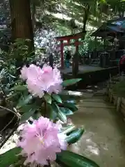 岡寺（龍蓋寺）(奈良県)