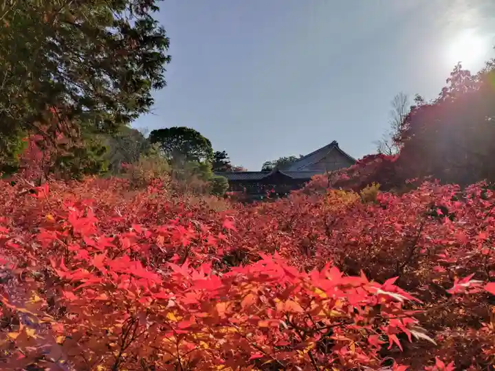 東福禅寺(東福寺)(京都府)