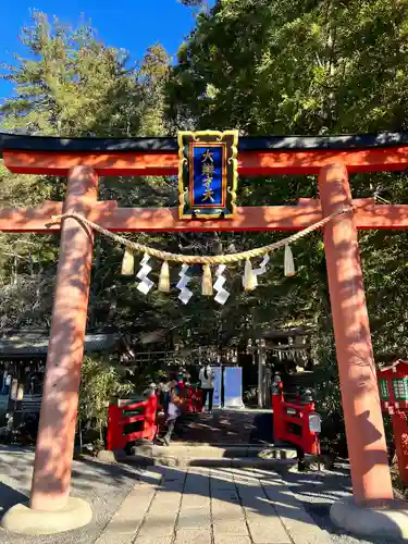 天河大辨財天社の鳥居