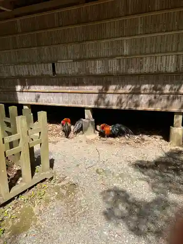 天岩戸神社(宮崎県)