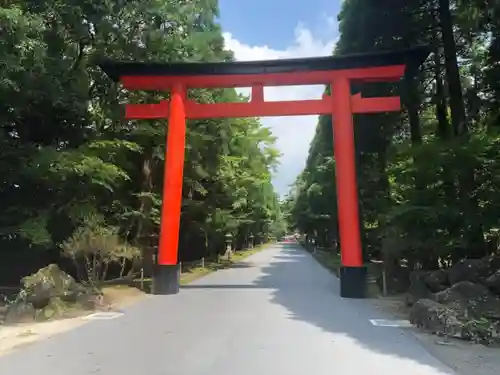 霧島神宮の鳥居