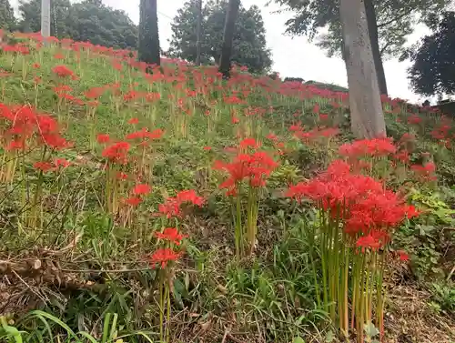 曹洞宗 永松山 龍泉寺の自然