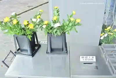 千鳥ヶ淵戦没者墓苑(東京都)