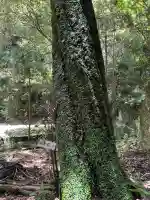 旧妙見宮奥之院(巌屋神社)(愛知県)