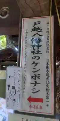 戸越八幡神社(東京都)