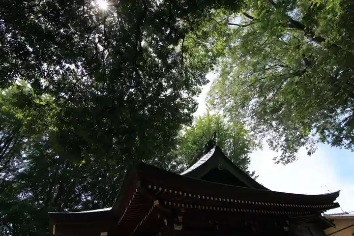 熊野福藏神社の本殿・本堂