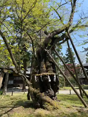 蠶養國神社(福島県)