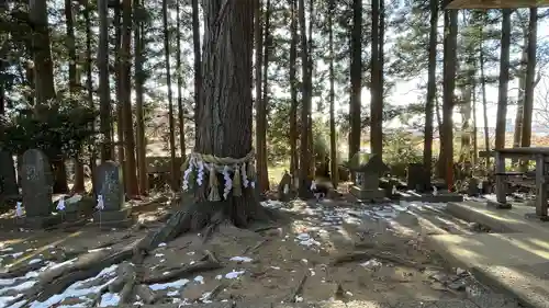 加賀野八幡神社(宮城県)