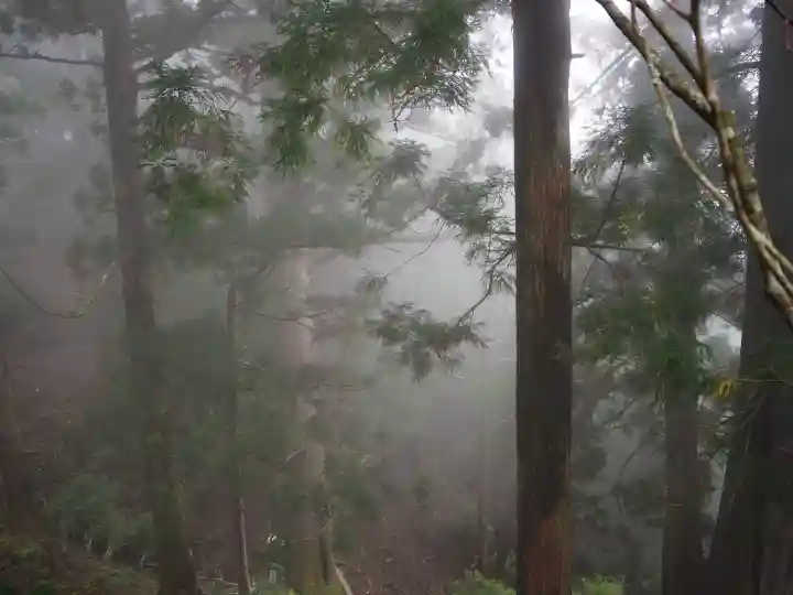 玉置神社の{uncategorized: "未分類", other: "その他", undefined: "問題あり", building: "その他建物", grave: "お墓", sacred_gate: "鳥居", guardian: "狛犬", statue: "像", buddha: "仏像", history: "歴史", nature: "自然", garden: "庭園", animal: "動物", pagoda: "塔", temizu: "手水舎", mountain_gate: "山門・神門", sanctuary: "本殿・本堂", subordinate: "末社・摂社", art: "芸術", scenery: "景色", jizo: "地蔵", ema: "絵馬", goshuin: "御朱印", omikuji: "おみくじ", items: "授与品その他", amulet: "お守り", goshuincho: "御朱印帳", eats: "食事", festival: "お祭り", votive_dance: "神楽", shichigosan: "七五三参", wedding: "結婚式", experience: "体験その他", initially: "初詣", around: "周辺", anti_infection: "感染症対策"}
