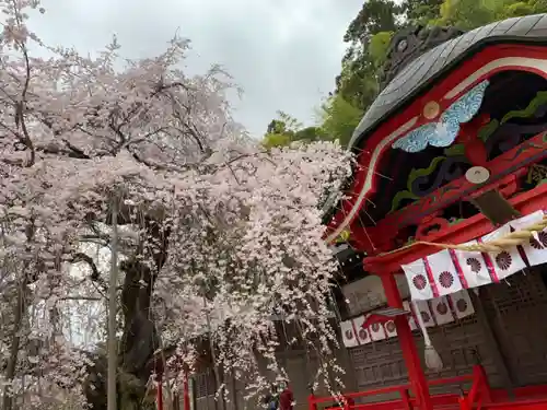 小川諏訪神社の自然