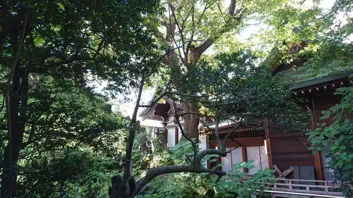 小野照崎神社のその他建物