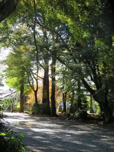 塩竈神社(栃木県)