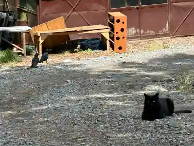 唐澤山神社(栃木県)