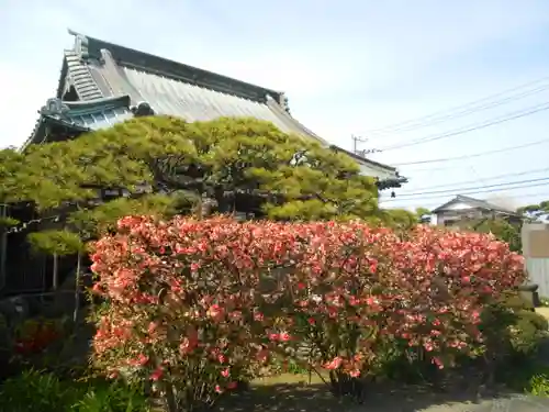 九品寺の庭園