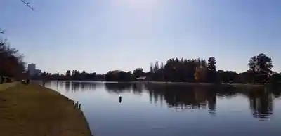 徳島稲荷神社の周辺