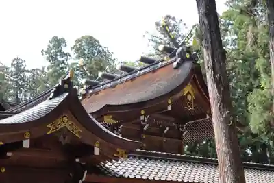 多賀大社(滋賀県)