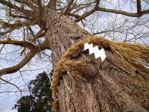 秋保神社の自然